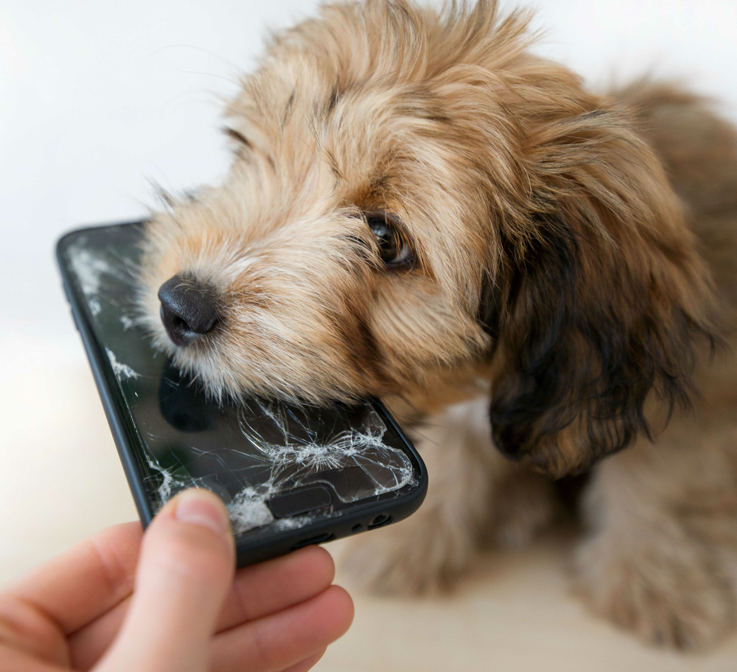 SOSprof Managing electronic devices - SOSprof - SOSteacher