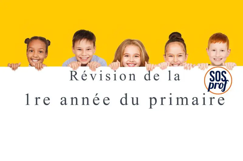 Révision de la première année du primaire revision of the first grade of primary school-SOSprof SOSteacher