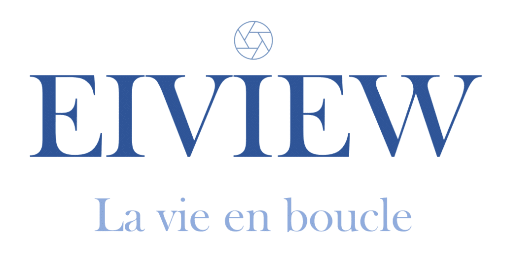 EIVIEW Logo SOSprof