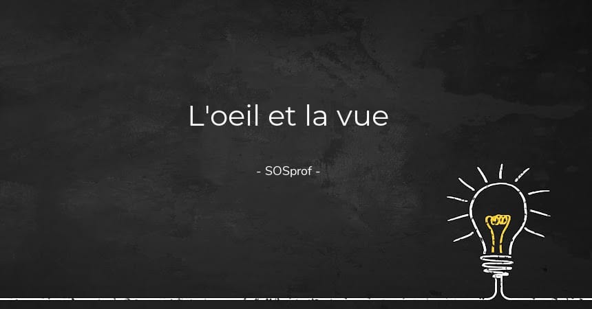 L'oeil et la vue. The eye and sight. SOSprof. SOSteacher
